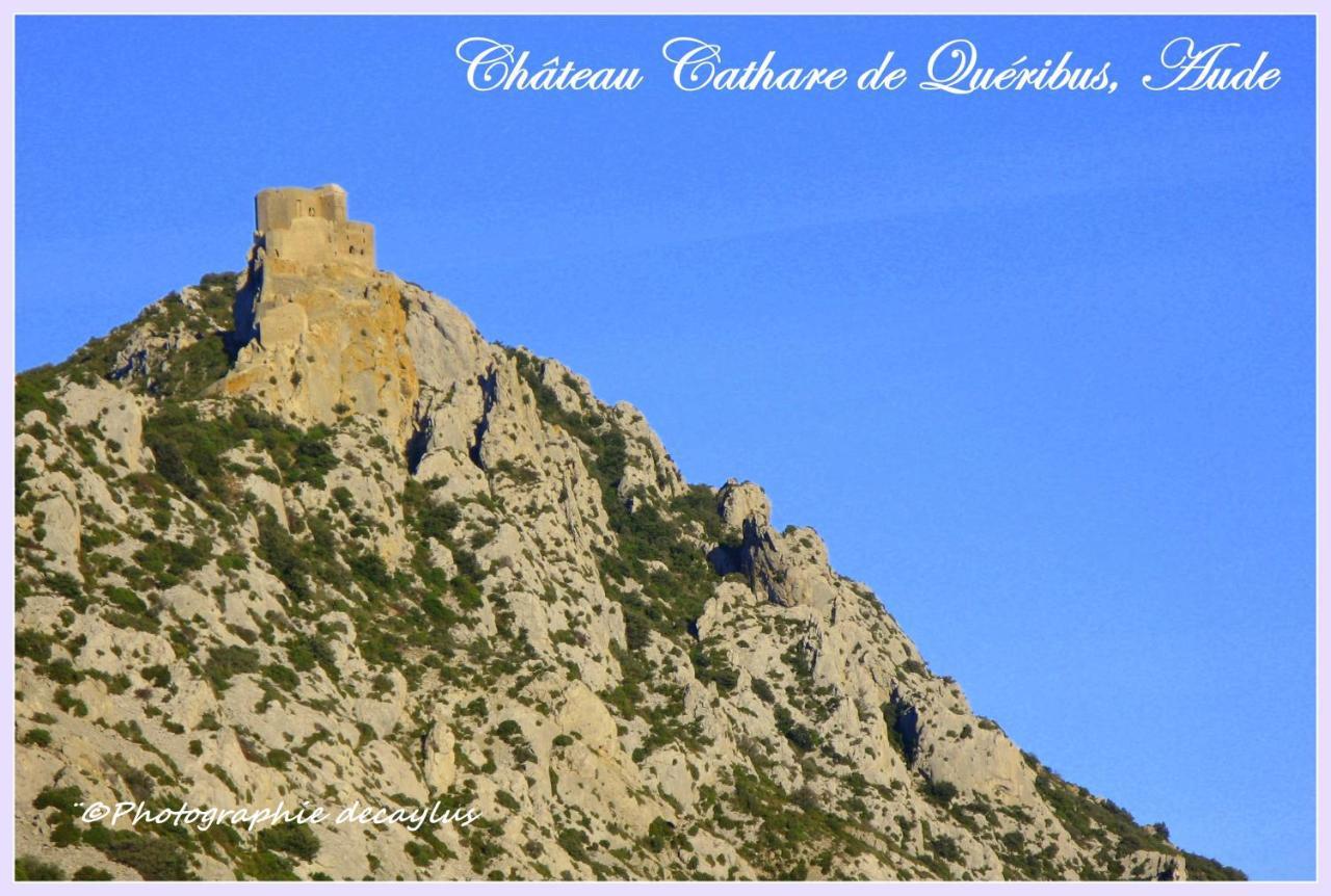 Maison St Georges Coursan エクステリア 写真